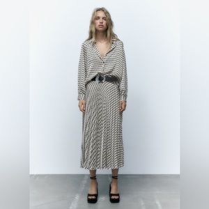 Zara Printed Pleated Skirt